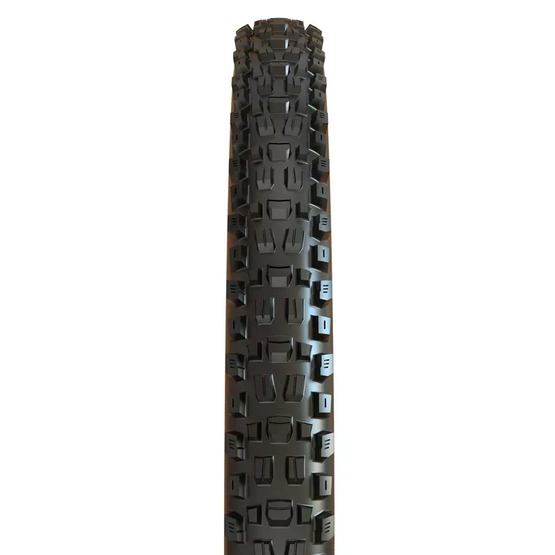 Maxxis Assegai Tire 29x2.5-inch MT/EXO+/TR Tire in Black-2