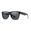 Lowdown 2 CORE / Matte Black / Polarized Grey